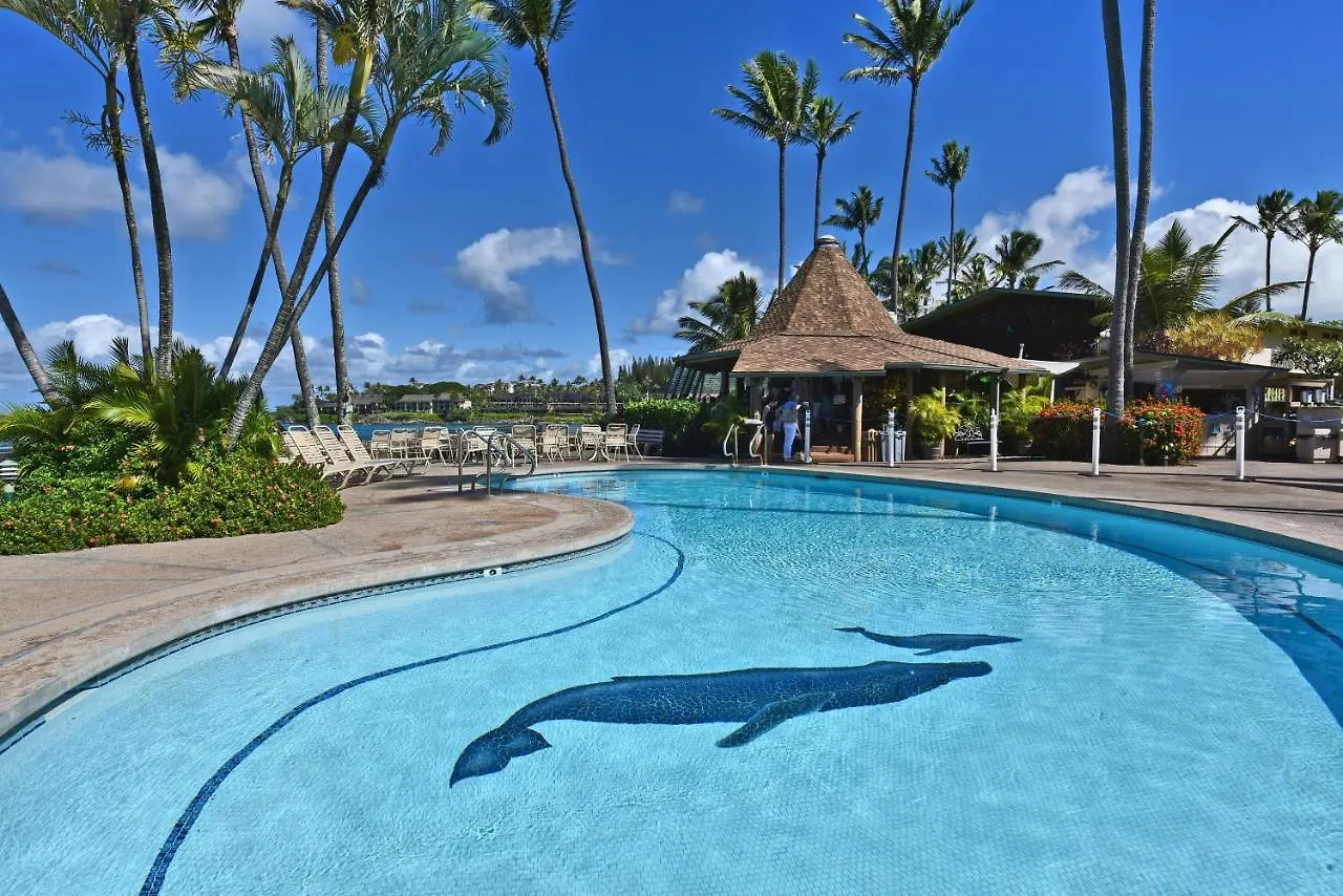 公寓 Napili Shores D127 卡哈纳 美国