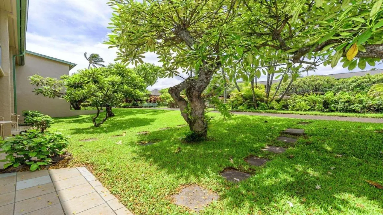 Napili Shores D127 Kahana 0*,