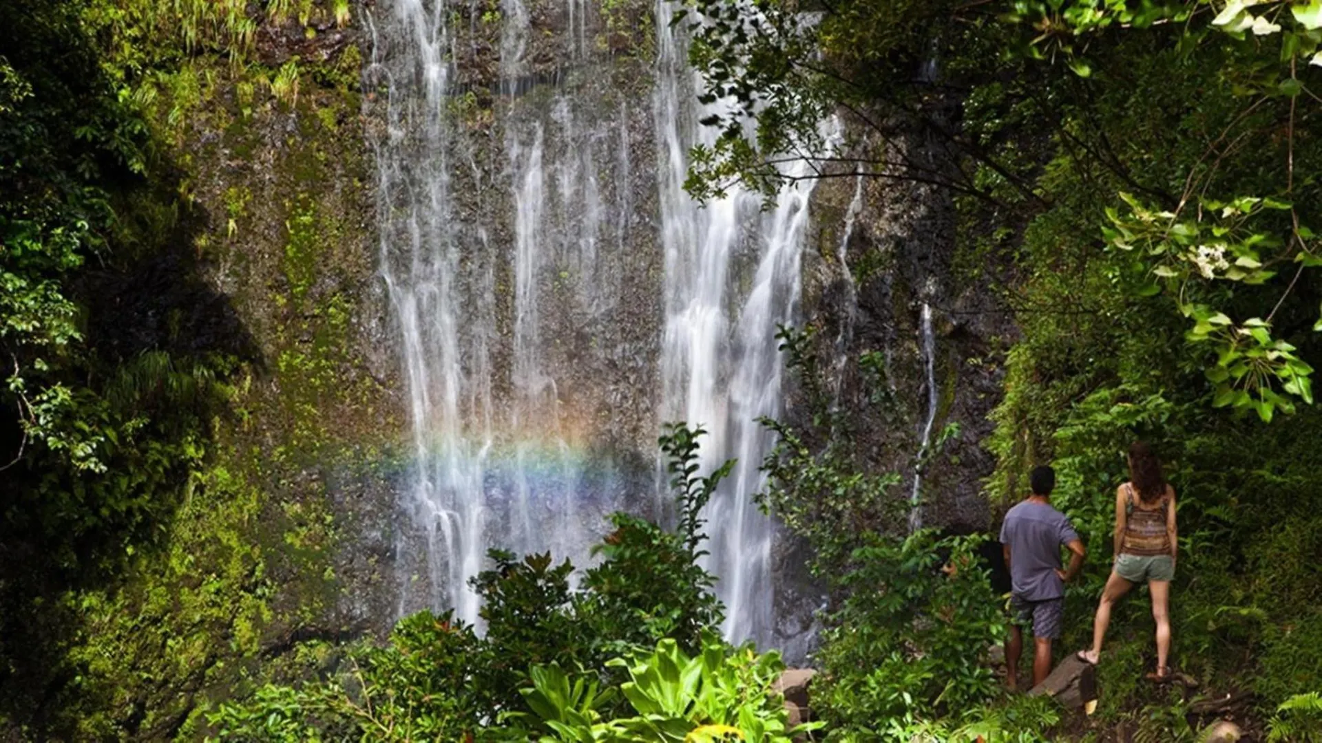 Lejlighed Napili Shores D127 Kahana