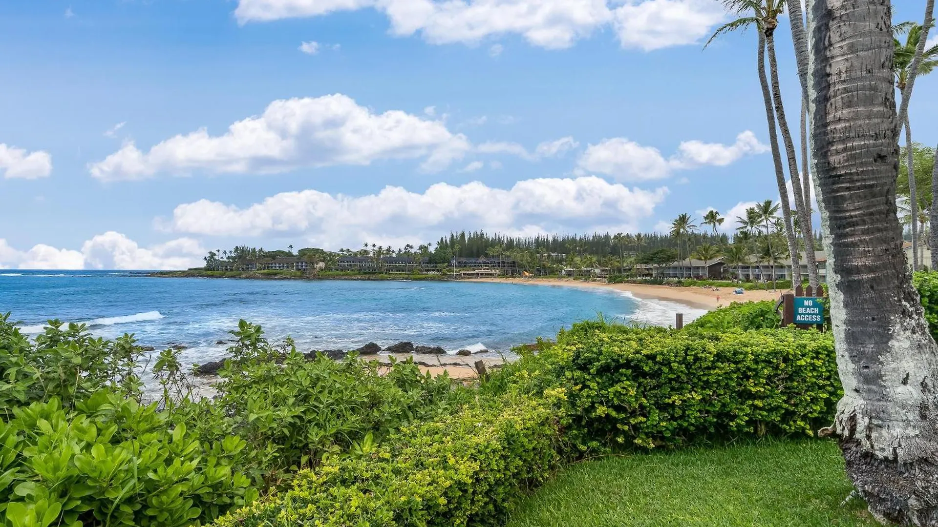 Napili Shores D127 Kahana Lejlighed
